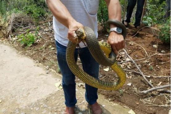 外交部发言人就河南相关评论文章发表看法