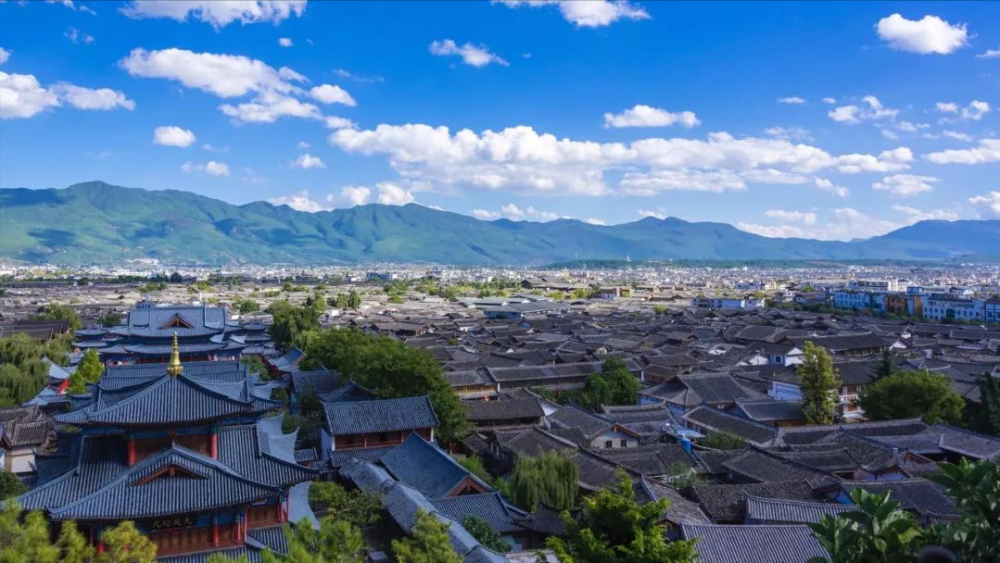 春游云南，踏青赏花，尽享春光无限美