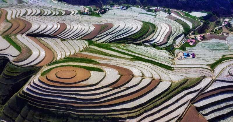 塞上江南宁夏，画卷中的宁夏之美