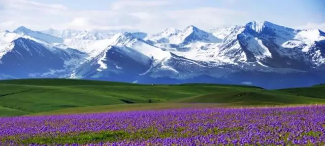 新疆，多元一体文化瑰宝的传奇之地